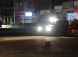 Cizre'de bomba alarmı