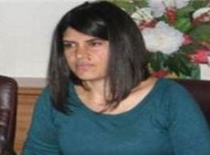 Öcalan Meclis'e giriyor!