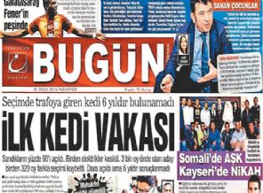 Paralel yapı'da kedi örneği