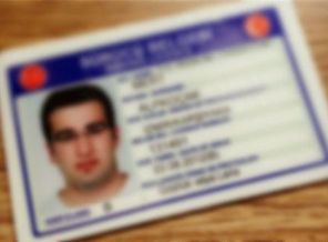 24 milyon ehliyet değişecek