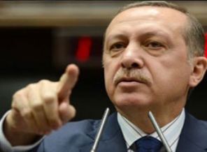 Cumhurbaşkanı'na 'seçim yasağı' talebine ret