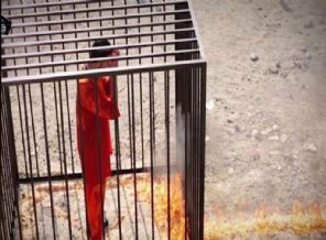 Diri diri yakılan pilotun sakinliğinin sebebi belli oldu