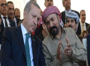 Perwer AK Parti'den aday!