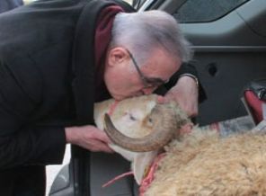 'Koyunluk bitti, koç olma zamanı'