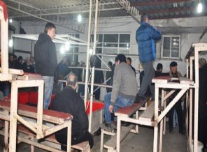 Manisa'da horoz dövüşü operasyonu