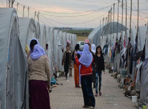 Ezidilere en çok yardımı Türkiye yaptı