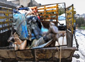 Kobani'de son durum: Cesetler kamyon kasalarında taşındı!