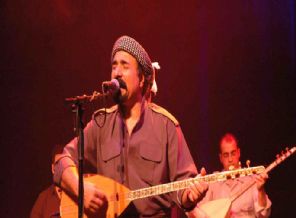 Perwer'den ailesinin siyasete girmesiyle ilgili açıklama