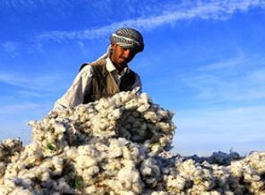 Çiftçiye 2 milyar lira destek müjdesi