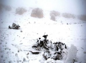 Düşen uçakların enkazına kar engeli