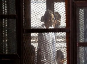 271 İhvan üyelsi askeri mahkemede yargılanacak