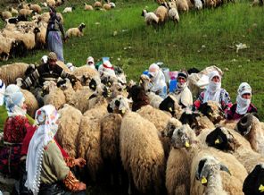 30 yıllık savaşın Türkiye'ye maliyeti