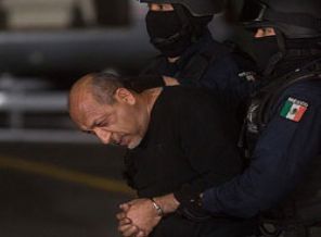 Uyuşturucu kartelinin lideri yakalandı