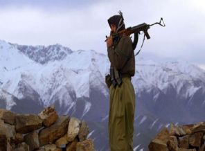 7 PKK'lı silah bırakarak yurda döndü