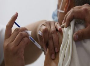 Domuz gribi bu şehrimizde hortladı