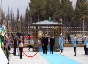 Karşılama töreninde köpek paniği!