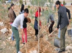 Avrupa'dan Türkiye'ye övgü