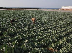 İsrail Gazze'ye muhtaç kaldı