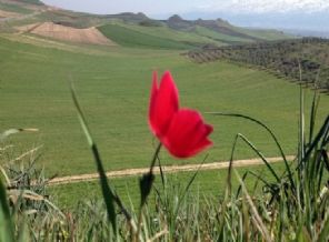 Son cemre toprağa düştü!