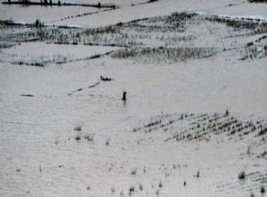 Tanzanya'da sel: 42 ölü