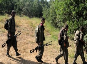 AK Partili vekilden kritik 'Kandil' iddiası