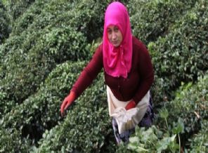 Diplomatların yapamadığını yapan Rizeli kadın