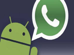 WhatsApp’a yeni özellik