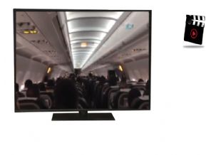 Karadenizli pilot uçakta yolcuları kırdı geçirdi(Video)