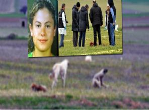 Sokak köpekleri kadını parçaladı