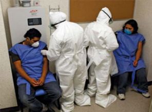 6 kente domuz gribi timi