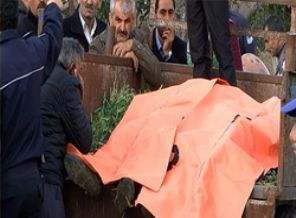 Adana'da yıldırım iki can aldı