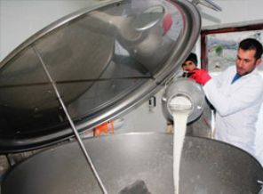 Halk sütü projesi geliyor