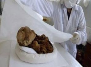 Bin yıllık bebek herkesi şok etti