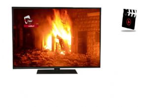 Esed, Halep'te ölüm kustu(Video)