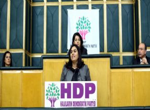 'Öcalan'ın mesajını değil kendisini görmek istiyoruz'