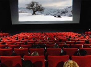 Bu filmi yalnızca 1 kişi izledi