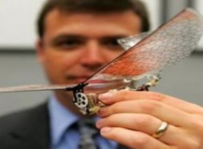 İsrail'in Gazze'ye gönderdiği casus 'kelebekler' ele geçirildi!