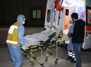 Diyarbakır'da domuz gribi alarmı