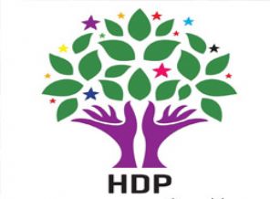İki eski asker HDP'ten aday