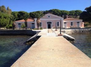 Domuz gribine Osmanlı yöntemiyle çözüm