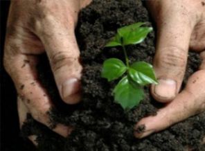 160 kişilik işe 4 bin başvuru