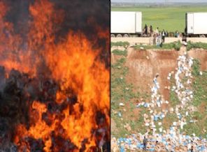 IŞİD gıda yardımlarını yaktı