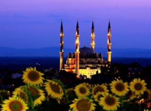 24 saat ziyarete açık