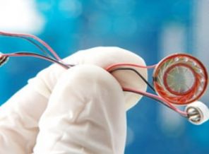 Böcek raporu ABD'den kopya