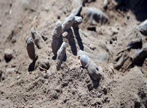 12 toplu mezar bulundu