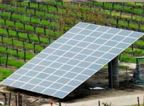 Her tarla kendi elektriğini üretecek