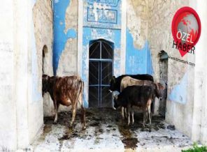 Camilere büyük saygısızlık