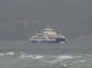 İDO ve BUDO'da sefer iptalleri