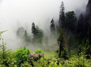 Karadeniz'de siste kayboldular