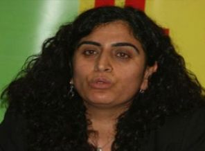 'Cumhurbaşkanlığı dışında her işi yapıyor'